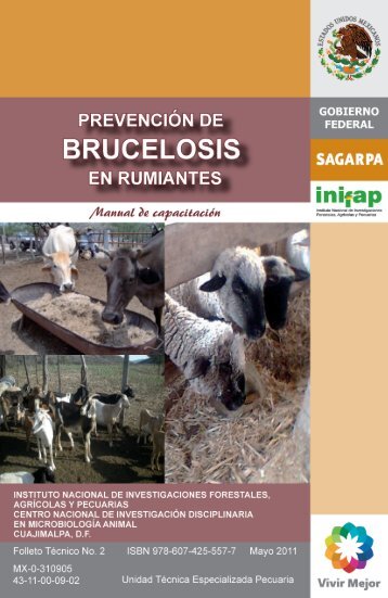 MANUAL BRUCELOSIS.pdf - UTEP - Instituto Nacional de ...