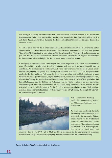 Download - BUND Rhein-Neckar-Odenwald