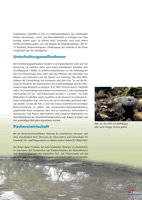 Download - BUND Rhein-Neckar-Odenwald