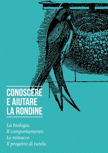 Brochure (PDF) - È ora di aiutare le rondini