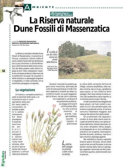 La Riserva naturale Dune Fossili di Massenzatica - Ermes Agricoltura