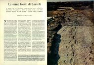 Le orme fossili di Laetoli - Kataweb