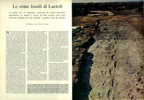 Le orme fossili di Laetoli - Kataweb