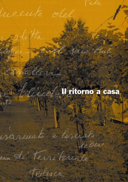 diario personale - Come Angeli Bianchi