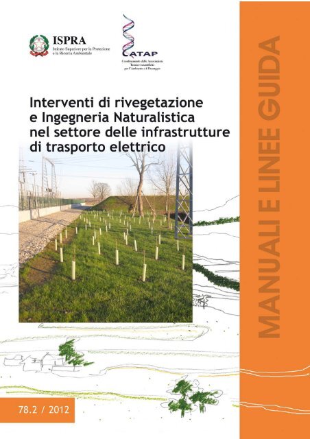 Interventi di rivegetazione e Ingegneria Naturalistica nel ... - Ispra