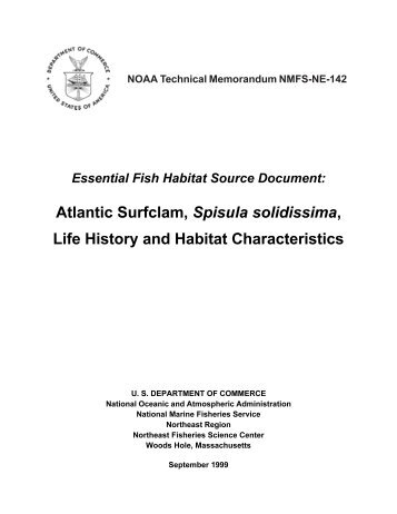 Atlantic Surfclam, Spisula solidissima - Northeast Fisheries Science ...