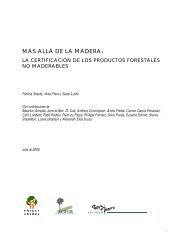 ESP-Forest Certification and NTFP_10-24-05 - Instituto del Bien ...