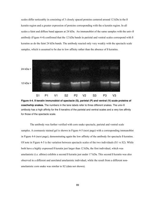 Chapter 1, The Reptilian Spectacle - UWSpace - University of ...