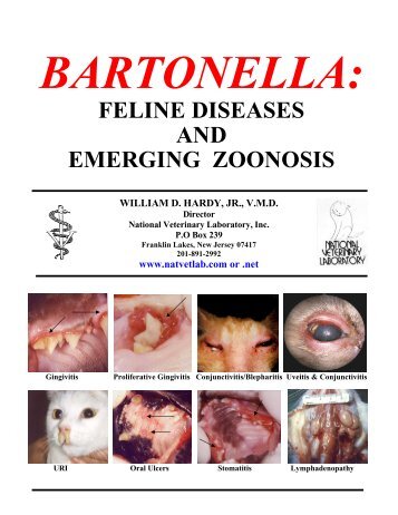 Bartonella: Feline Diseases and Emerging Zoonosis - National ...