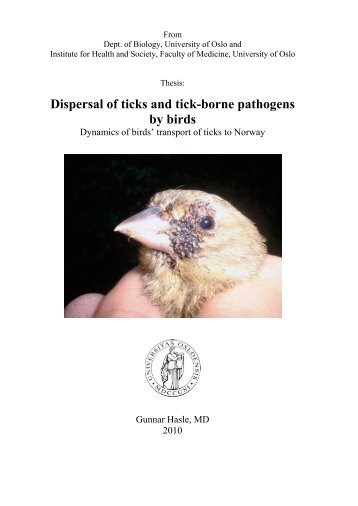 dispersal of ticks and tick borne diseases by birds - Lista fuglestasjon