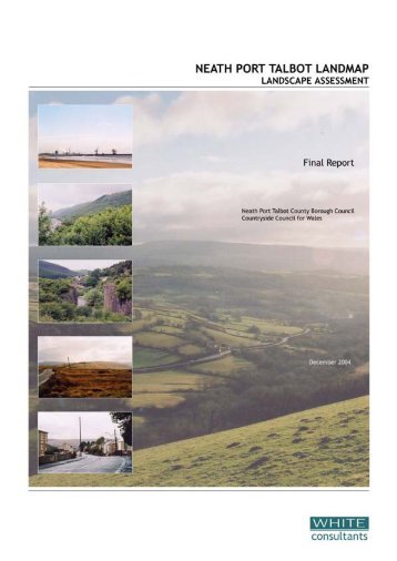 Final Report - Neath Port Talbot County Borough Council