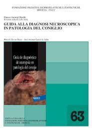 guida alla diagnosi necroscopica in patologia del coniglio