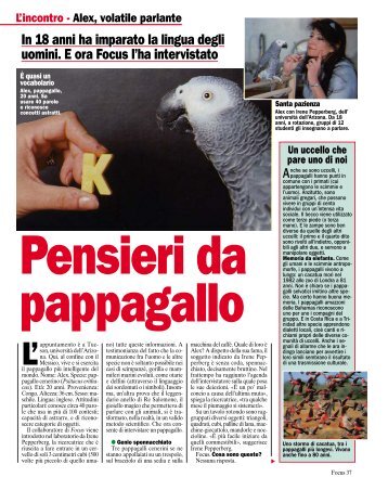 Scarica l'intervista esclusiva al pappagallo Alex. - Focus