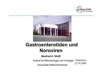 Gastroenterotiden und Noroviren