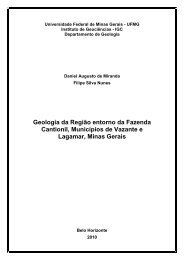 Geologia da região entorno da fazenda Cantionil, municípios - UFMG