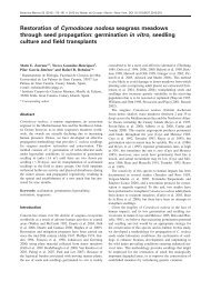 Restoration of Cymodocea nodosa seagrass meadows ... - redmic