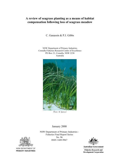 A review of seagrass planting as a means of habitat compensation 