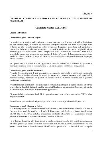 Allegato A Candidato Walter BALDUINI - Università della Calabria