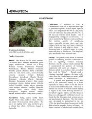 Wormwood - Herbalpedia