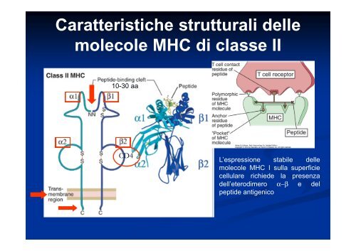 Testi consigliati