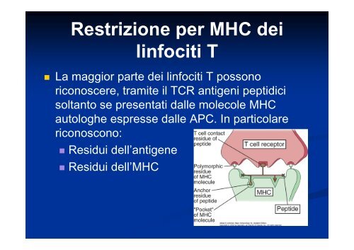 Testi consigliati