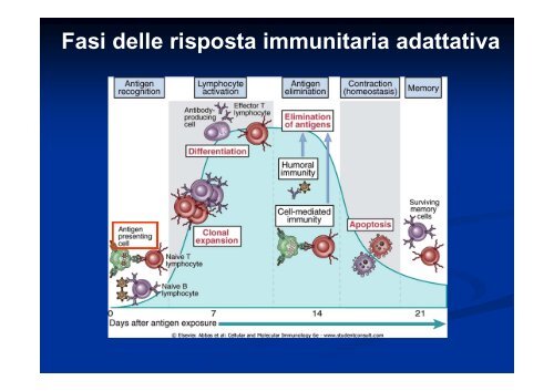 Testi consigliati