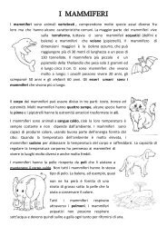 I MAMMIFERI.pdf - Maestra Raffaella