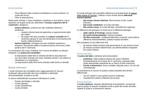 ANATOMIA DEL SISTEMA NERVOSO - Bluejayway.it