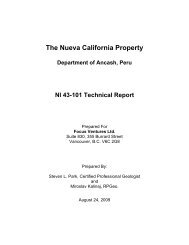 The Nueva California Property - Focus Ventures Ltd.