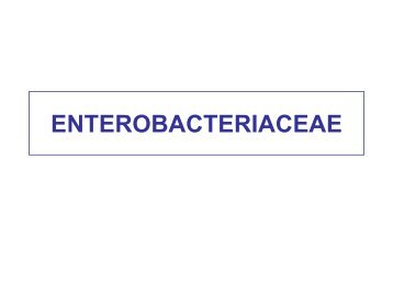 5. enterobacteriaceae
