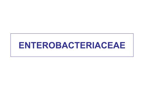 5. enterobacteriaceae