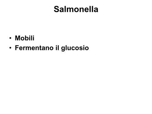 5. enterobacteriaceae