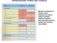 ESPRESSIONE DI MHC NEI TESSUTI