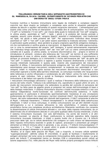 GL.Marseglia, S. Caimmi pdf - Sipps