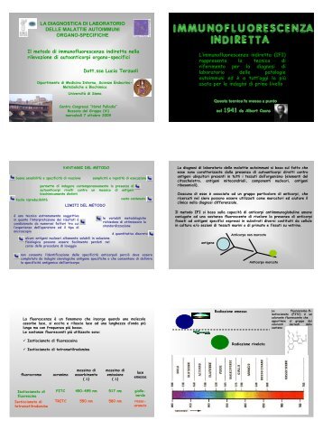 Terzuoli L. Il metodo di immunofluorescenza indiretta nella ... - Simel