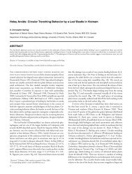 Holey Aroids: Circular Trenching Behavior by a Leaf Beetle in Vietnam