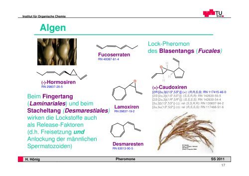 Pheromone - Institut für Organische Chemie