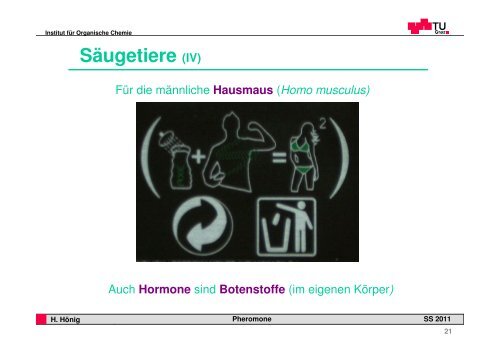 Pheromone - Institut für Organische Chemie