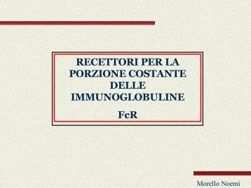 immunoglobuline