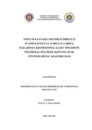 toplum kaynaklı met slnd rençl staphylococcus aureus (ca-mrsa)