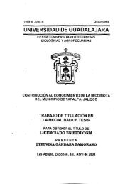 Ver/Abrir - biblioteca@cucba.udg.mx - Universidad de Guadalajara