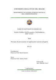 TESI Dottorato Ricerca.pdf - Università degli Studi del Molise
