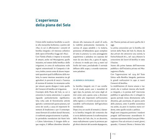 Catalogo Bonifica_web_L.pdf - DSpace - Inea