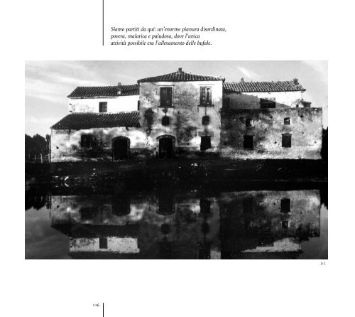 Catalogo Bonifica_web_L.pdf - DSpace - Inea