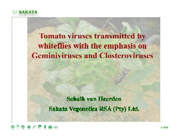 Tomato virusses - Intensive Agriculture South Africa (IASA)