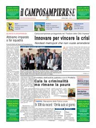 Innovare per vincere la crisi - Federazione dei Comuni del ...