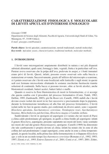 caratterizzazione fisiologica e molecolare di lieviti apiculati d ...