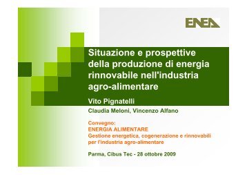 Situazione e prospettive della produzione di energia rinnovabile nell ...