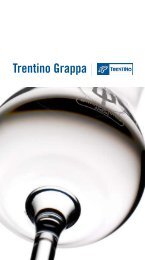 pdf download - Trentino SpA