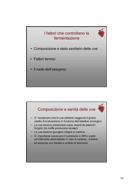 La Vinificazione in rosso.pdf - Iissmussomeli.it